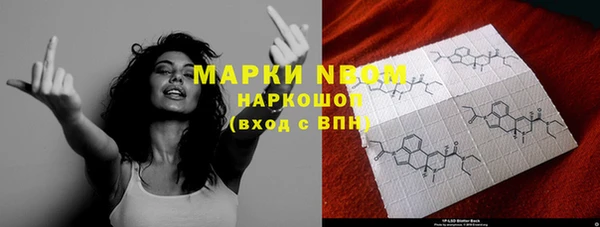 прущие грибы Бугульма