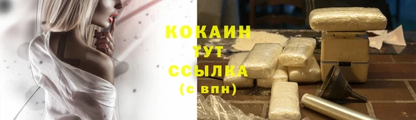 соль курить ск Бородино