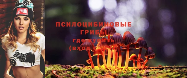 соль курить ск Бородино