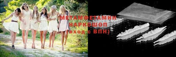 прущие грибы Бугульма