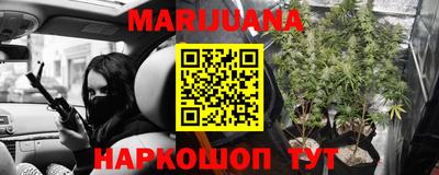 PSILOCYBIN Новодвинск