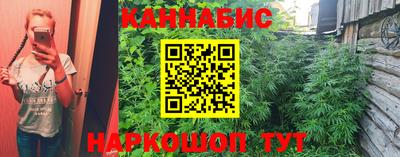 PSILOCYBIN Новодвинск