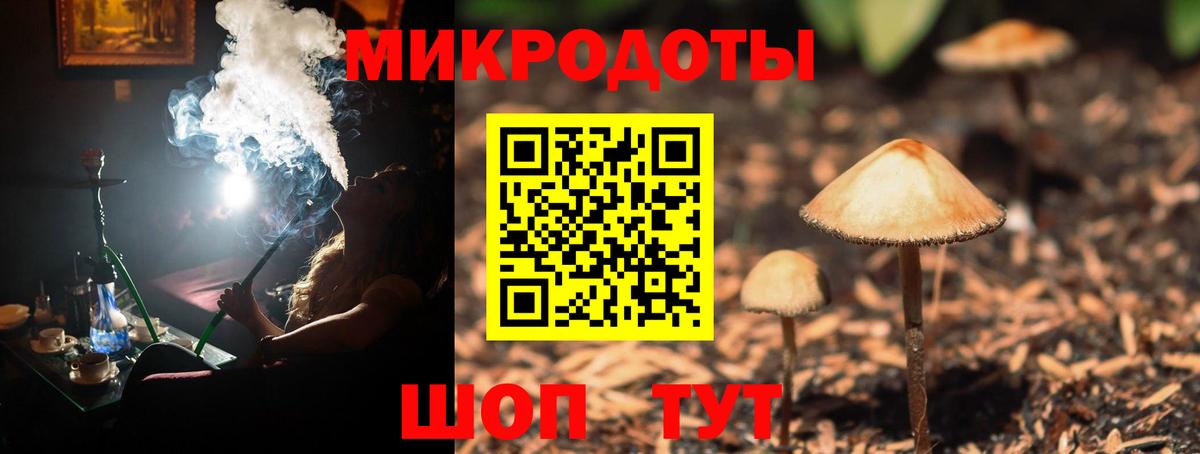 Галлюциногенные грибы прущие грибы Северобайкальск